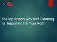 Importance of Roof Cleaning in Blacktown | Free Quotes