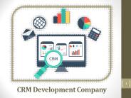CRM Development Company - Something Essential For Telecom Industry