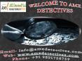 Private Detective agency for matrimonial investigation PowerPoint PPT Presentation