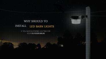 Secure Your Yard By Using LED Yard Lights