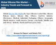 Silicone Film Market