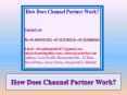 How Does Channel Partner Work? PowerPoint PPT Presentation