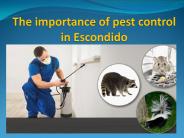 The importance of pest control in Escondido