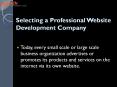 Selecting a Professional Website Development Company PowerPoint PPT Presentation