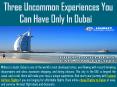 Three Uncommon Experiences You Can Have Only In Dubai