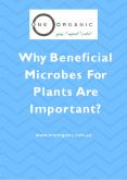 What Is The Major Role Of Beneficial Microbes For Plants? PowerPoint PPT Presentation