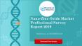 Nano zinc oxide market professional survey report 2019 PowerPoint PPT Presentation