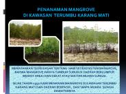 Mangrove Learning Center  Majene