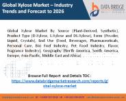 Xylose Market