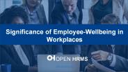 Significance of Employee-Wellbeing in Workplaces
