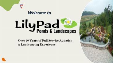 Important Tips for Koi Pond Maintenance