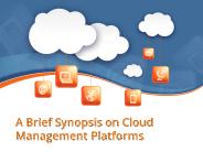 A Brief Synopsis on Cloud Management Platforms