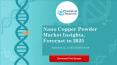 Nano copper powder market insights, forecast to 2025 PowerPoint PPT Presentation