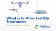 What is In Vitro Fertility Treatment? PowerPoint PPT Presentation