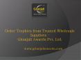 Order trophies from trusted wholesale suppliers- gitanjaliawards PowerPoint PPT Presentation