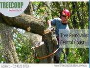 Cost Of Tree Stump Removal Central Coast (1)