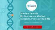 Marine Protein Hydrolysates Market Insights