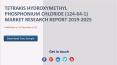 Tetrakis Hydroxymethyl Phosphonium Chloride (124-64-1) Market Research Report 2019-2025 PowerPoint PPT Presentation