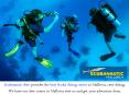 Scubanautic Dive - Leading Scuba Diving Center In Mallorca PowerPoint PPT Presentation