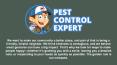 Best Pest Control Professionals - Pest Control Expert PowerPoint PPT Presentation