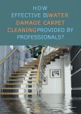 How Effective Is Water Damage Carpet Cleaning Provided By Professionals? PowerPoint PPT Presentation