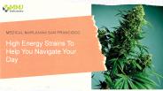 High Energy Strains To Help You Navigate Your Day