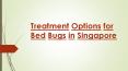 Bed Bug Service in Singapore PowerPoint PPT Presentation
