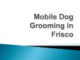 Mobile Dog Grooming in Frisco PowerPoint PPT Presentation