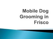 Mobile Dog Grooming in Frisco