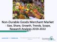 Global Non-Durable Goods Merchant Wholesalers Market Key Insights By 2022 PowerPoint PPT Presentation