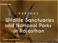 Various Wildlife Sanctuaries And National Parks in Rajasthan PowerPoint PPT Presentation