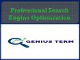 Professional Search Engine Optimization PowerPoint PPT Presentation
