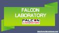 Soil testing laboratory – Falcon Lab PowerPoint PPT Presentation