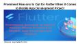 Prominent Reasons to Opt for Flutter When it Comes to Mobile App Development Project PowerPoint PPT Presentation
