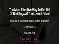 Bed Bugs Heat Treatment in Houston (1) PowerPoint PPT Presentation