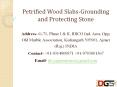 Petrified Wood Slabs-Grounding and Protecting Stone PowerPoint PPT Presentation