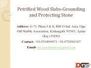 Petrified Wood Slabs-Grounding and Protecting Stone