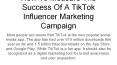 How To Measure The Success Of A TikTok Influencer Marketing Campaign PowerPoint PPT Presentation