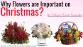Why Flowers are Important on Christmas by Best Florist in Toronto PowerPoint PPT Presentation