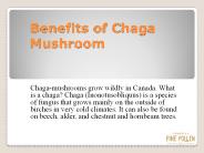 Benefits of chaga mushroom for the body.