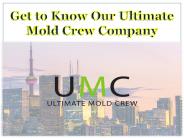 Get to Know Our Ultimate Mold Crew Company