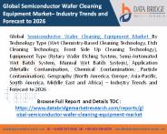 Semiconductor Wafer Cleaning Equipment Market