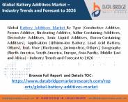Battery Additives Market