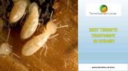 Best Termite Treatment in Sydney