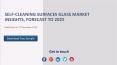 Self-cleaning Surfaces Glass Market Insights, Forecast to 2025 PowerPoint PPT Presentation