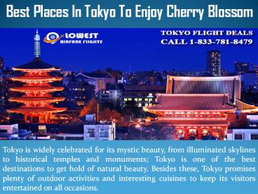 Best Places In Tokyo To Enjoy Cherry Blossom