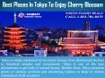 Best Places In Tokyo To Enjoy Cherry Blossom PowerPoint PPT Presentation