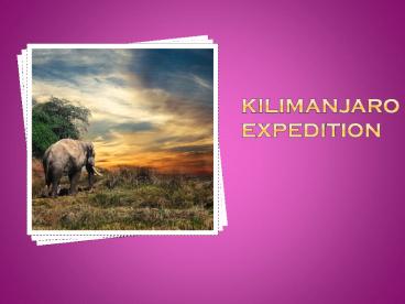 Kilimanjaro expedition