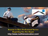 Reasons to Have Professional Service Regarding Dry Rot Repair