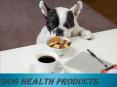DOG HEALTH PRODUCTS PowerPoint PPT Presentation